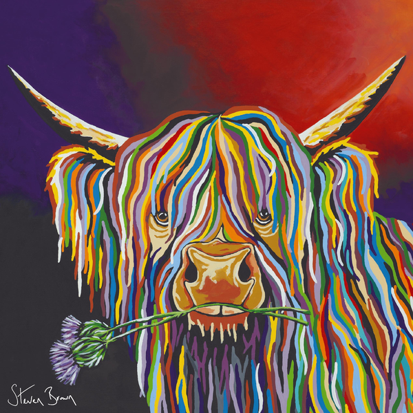 Dougie McCoo-Steven Brown Art