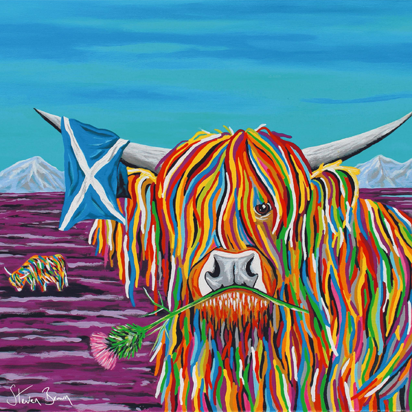 Hamish McCoo-Steven Brown Art