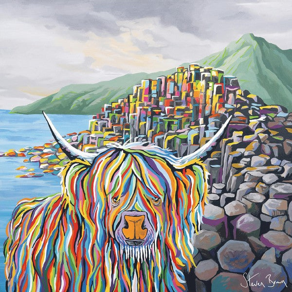 Paddy McCoo-Steven Brown Art