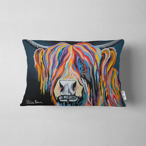 Ally McCoo - Cushions