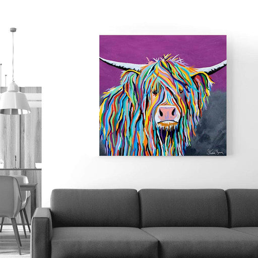 Angus McCoo - Colourful Living Bundle Save 20%