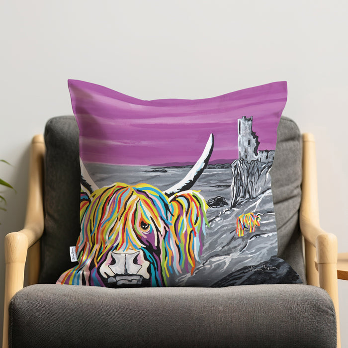 Ann & Jim McCoo - Cushions