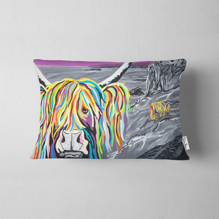 Ann & Jim McCoo - Cushions