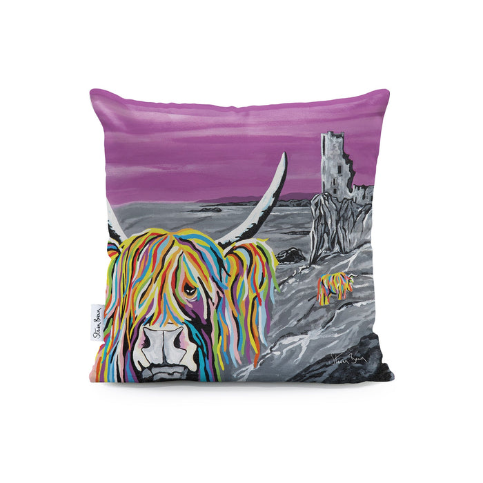 Ann & Jim McCoo - Cushions