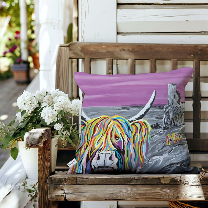 Ann & Jim McCoo - Outdoor Cushions