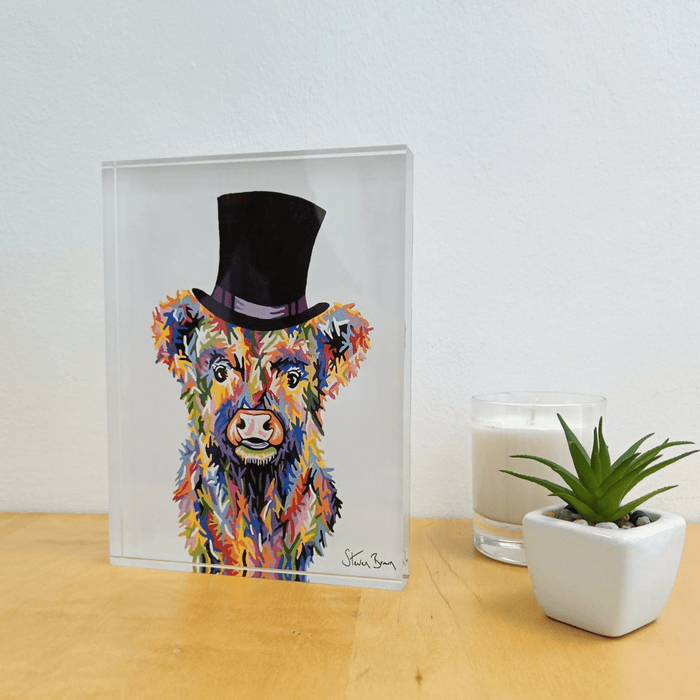 Baby McCoo - Acrylic Art Block