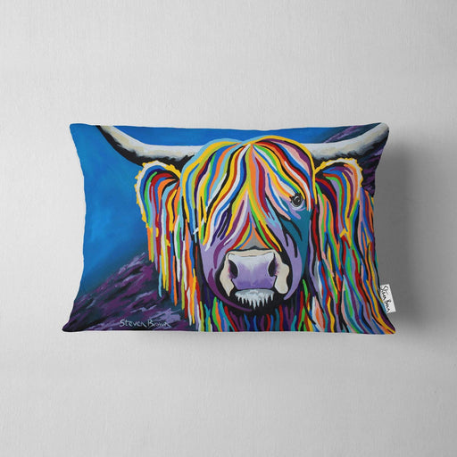 Billy McCoo - Cushions