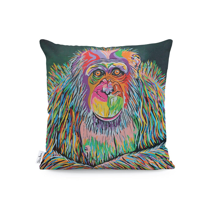 Boris McZoo - Outdoor Cushions