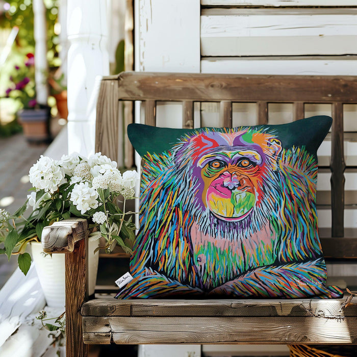 Boris McZoo - Outdoor Cushions