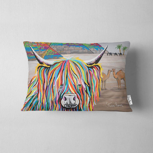 Caroline McCoo - Cushions