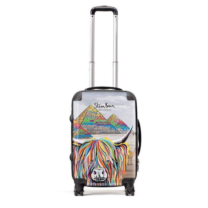 Caroline McCoo - Suitcase