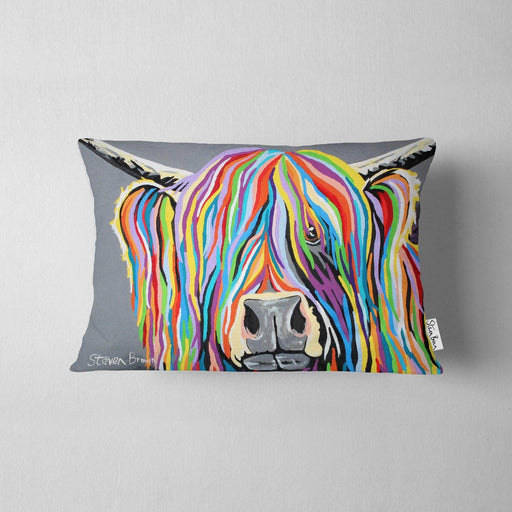 Charlie McCoo - Cushions