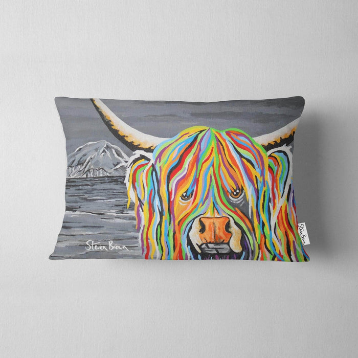 Craig McCoo - Cushions