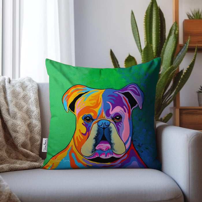 Davy McDug - Cushions