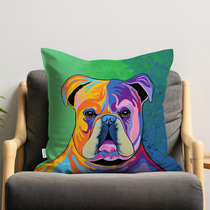 Davy McDug - Cushions