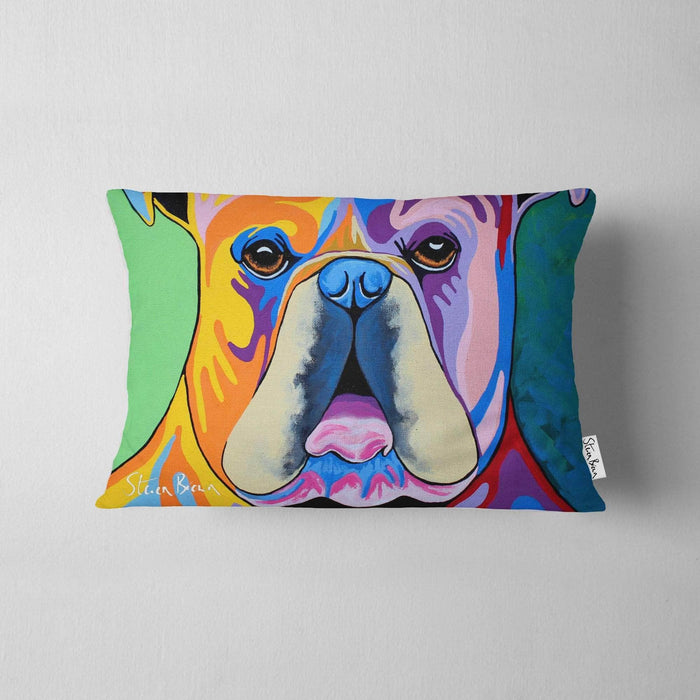 Davy McDug - Cushions