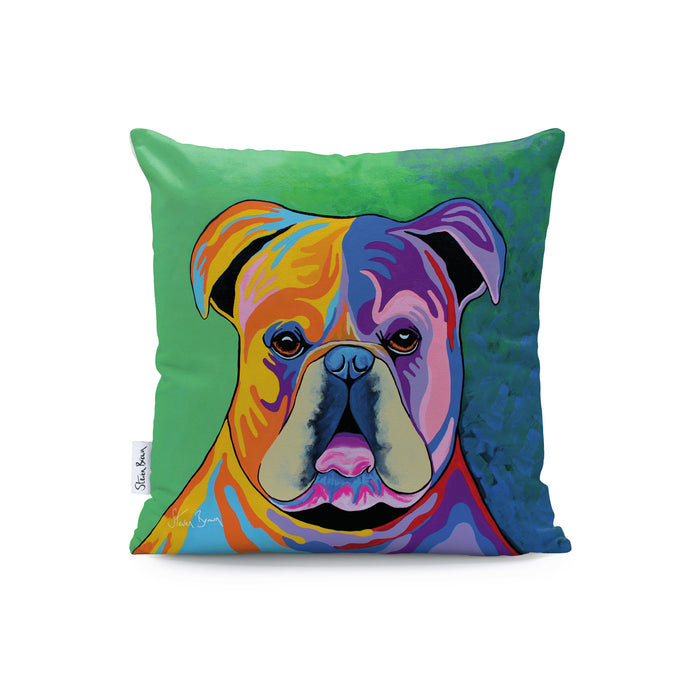 Davy McDug - Cushions