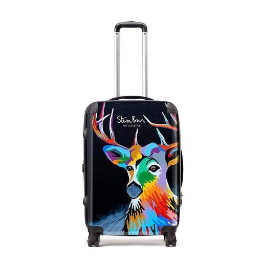 Donald McDeer - Suitcase