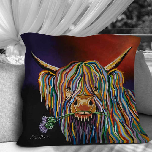 Dougie McCoo - Cushions