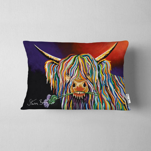 Dougie McCoo - Cushions