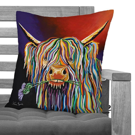 Dougie McCoo - Cushions