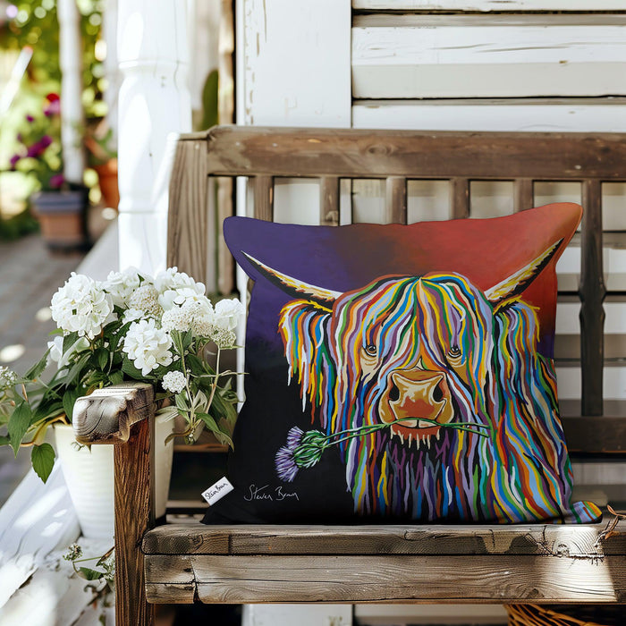 Dougie McCoo - Outdoor Cushions