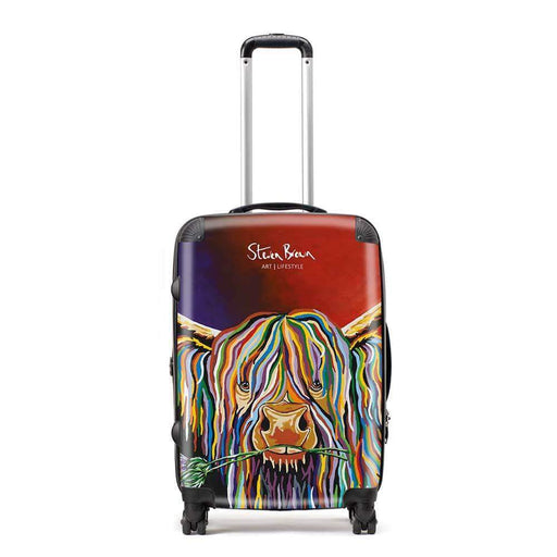 Dougie McCoo - Suitcase