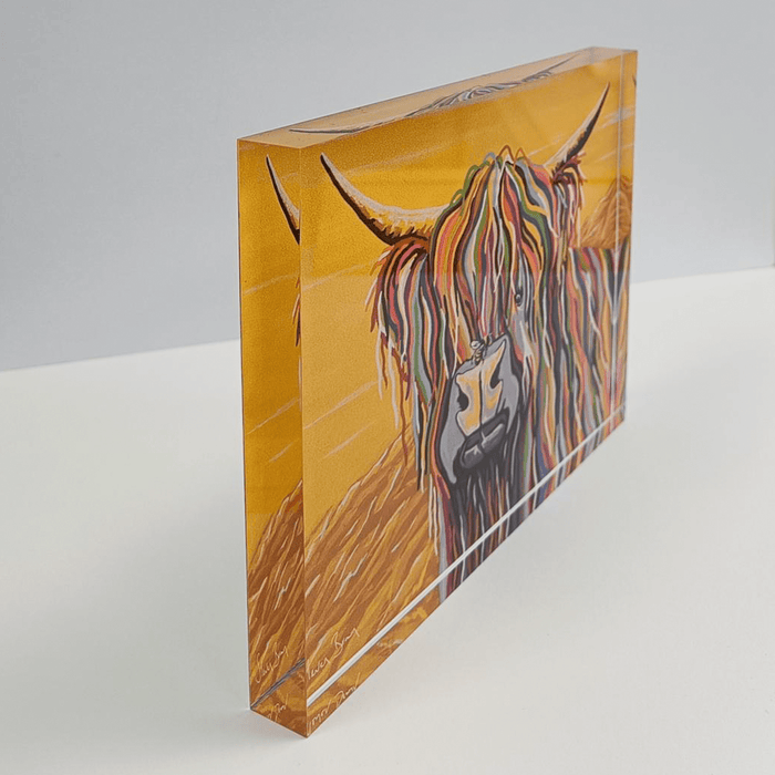 Gordon McCoo - Acrylic Art Block