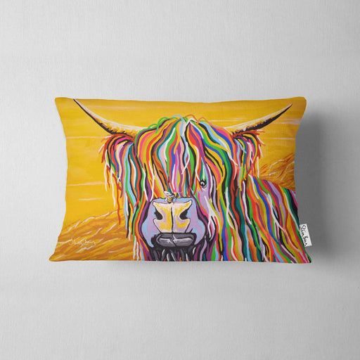 Gordon McCoo - Cushions