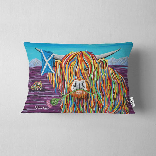 Hamish McCoo - Cushions