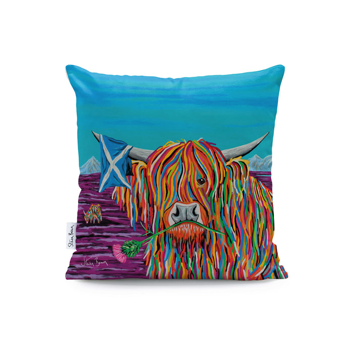 Hamish McCoo - Cushions