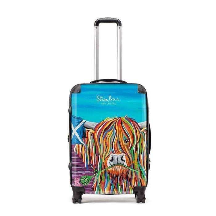 Hamish McCoo - Suitcase