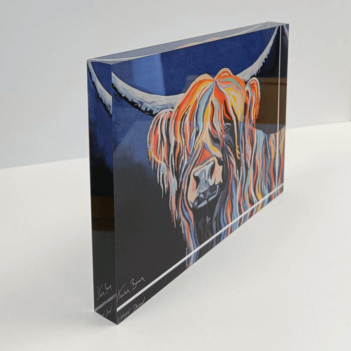 Harris McCoo - Acrylic Art Block