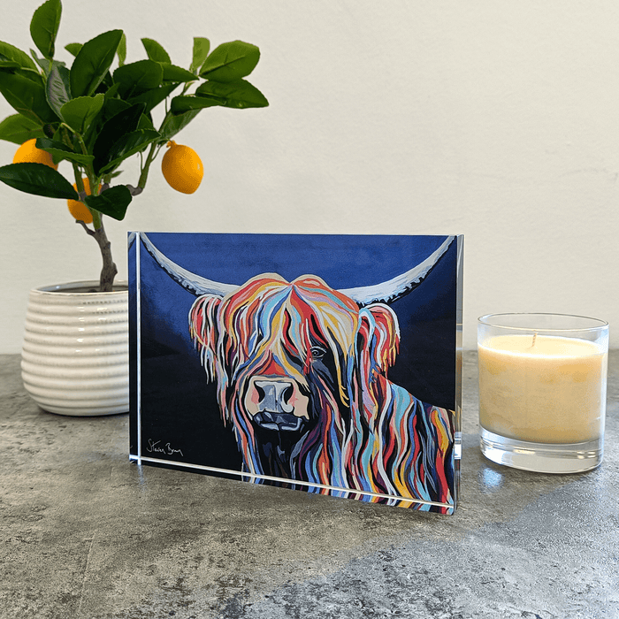 Harris McCoo - Acrylic Art Block