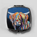 Harris McCoo - Cosmetic Mirror