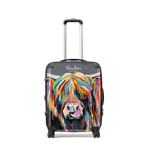 Heather McCoo - Suitcase