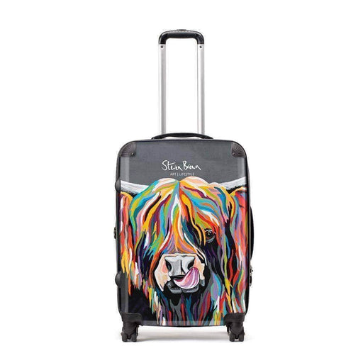 Heather McCoo - Suitcase