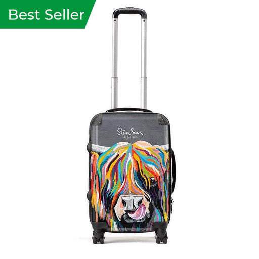 Heather McCoo - Suitcase