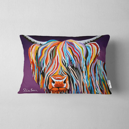 Huey McCoo - Cushions