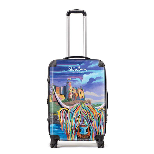 Janet McCoo - Suitcase