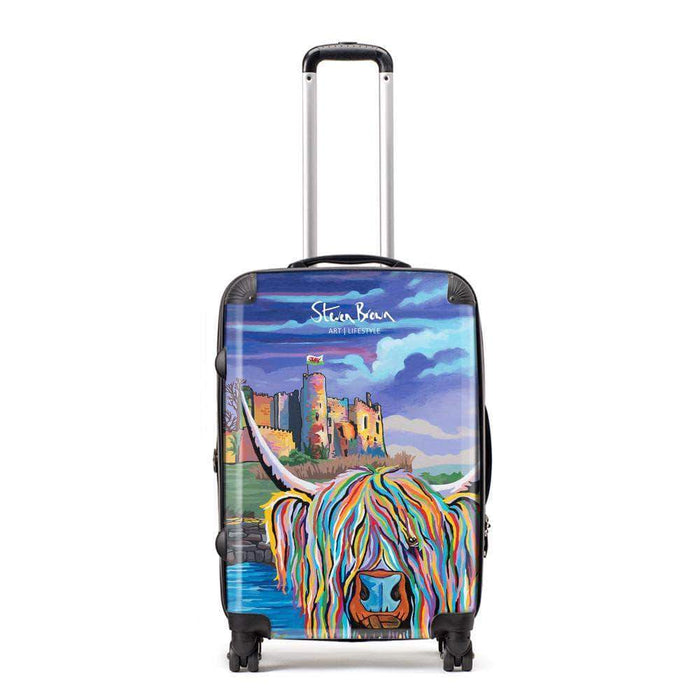 Janet McCoo - Suitcase