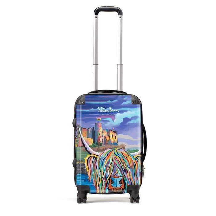 Janet McCoo - Suitcase