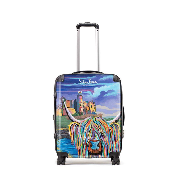 Janet McCoo - Suitcase