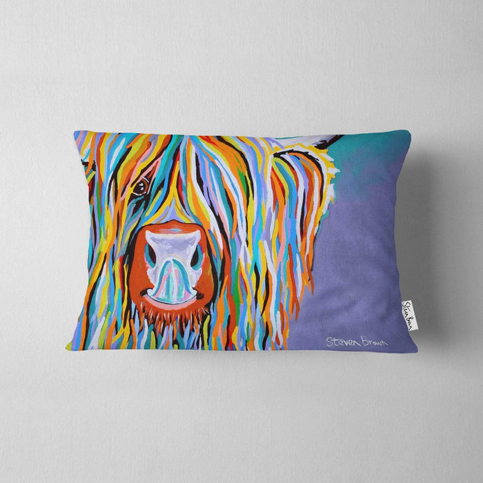 Katie McCoo - Cushions