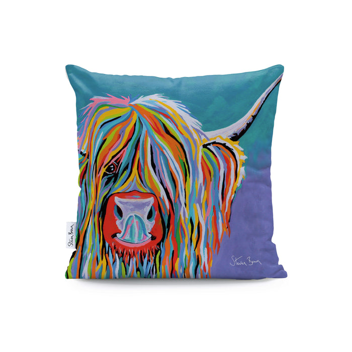 Katie McCoo - Cushions