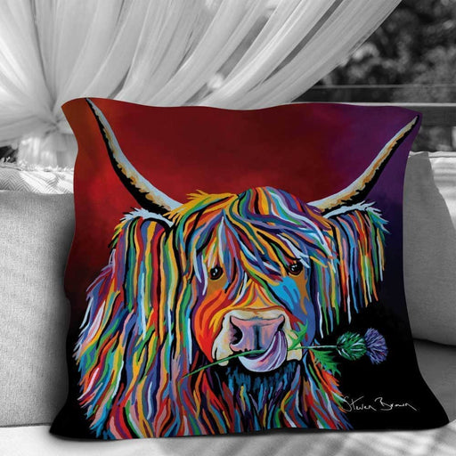 Lizzie McCoo - Cushions