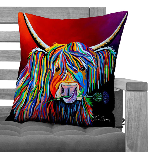 Lizzie McCoo - Cushions