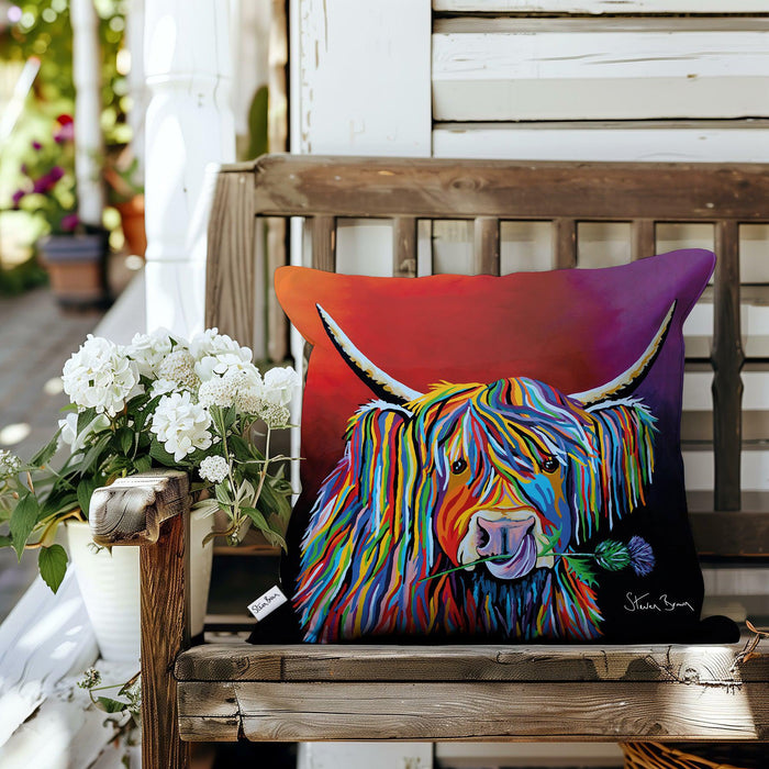 Lizzie McCoo - Outdoor Cushions