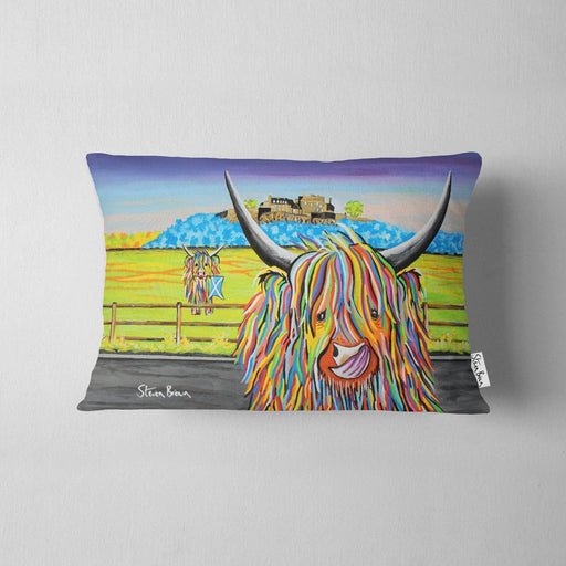 Morag McCoo - Cushions