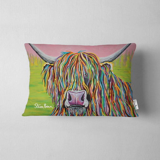 Nan McCoo - Cushions